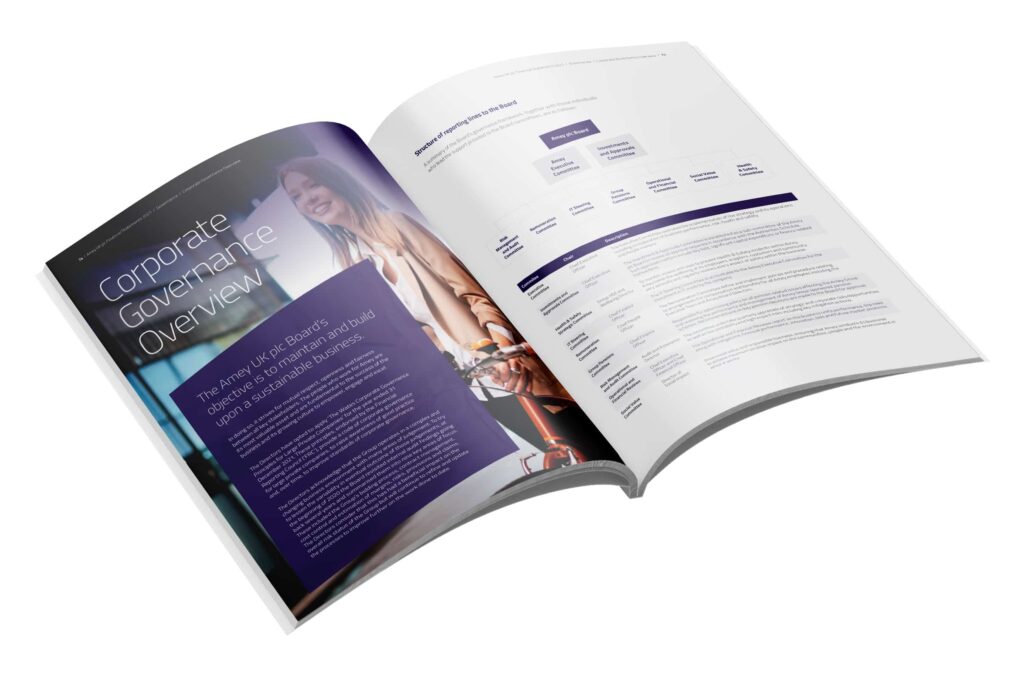 Annual Report and Accounts design for AMEY by Toast