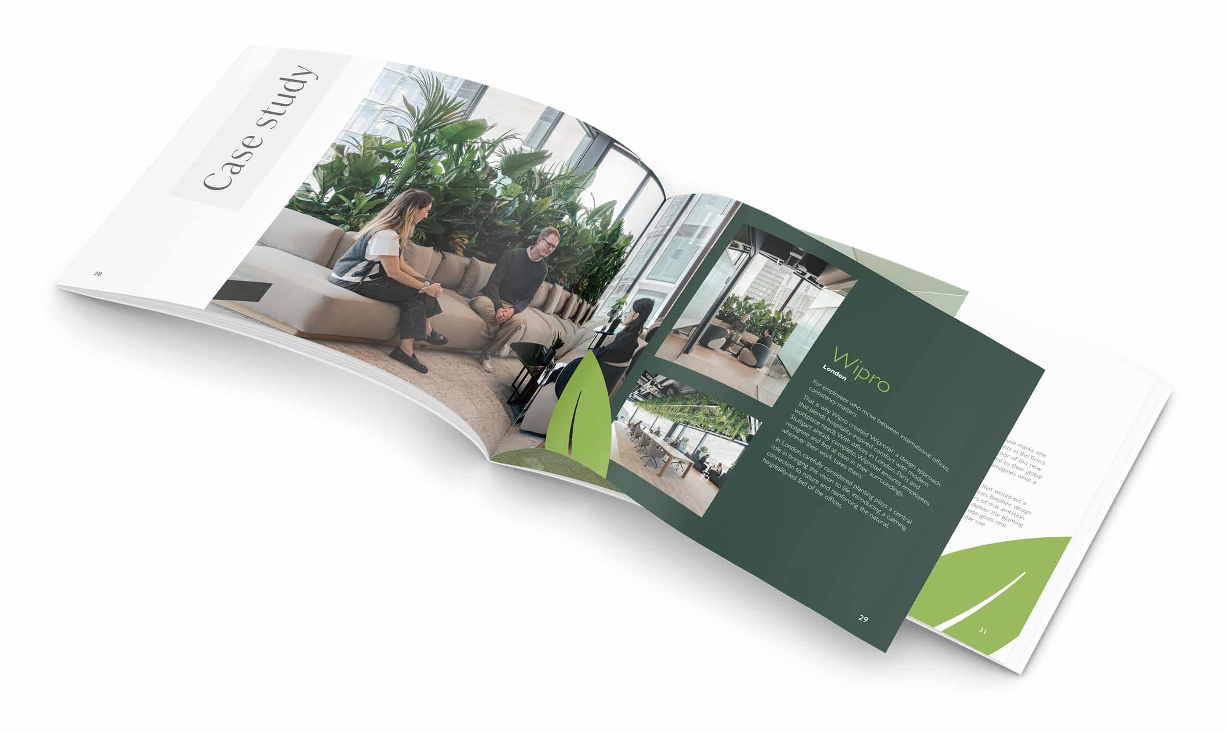 Brochure design example
