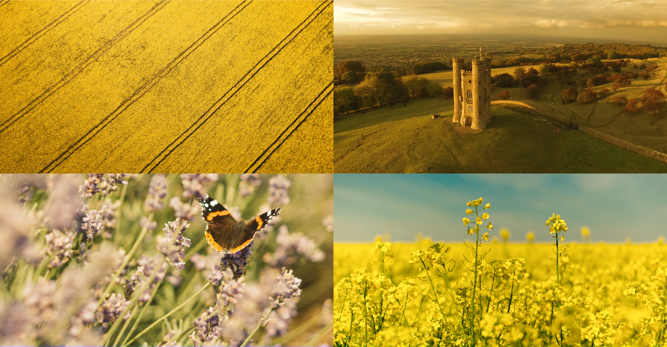 Cotswold Gold Images