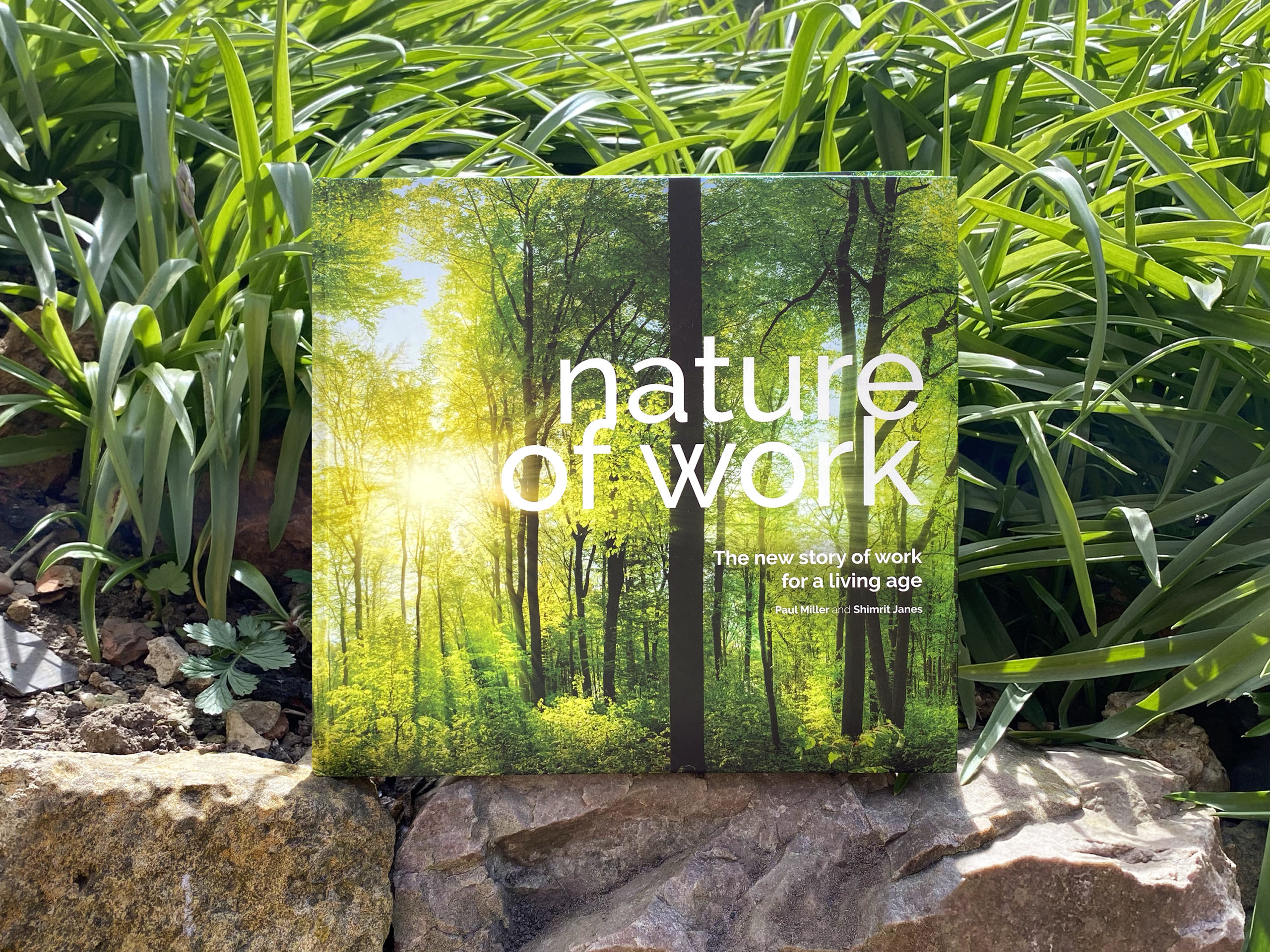 The Nature of Work book design