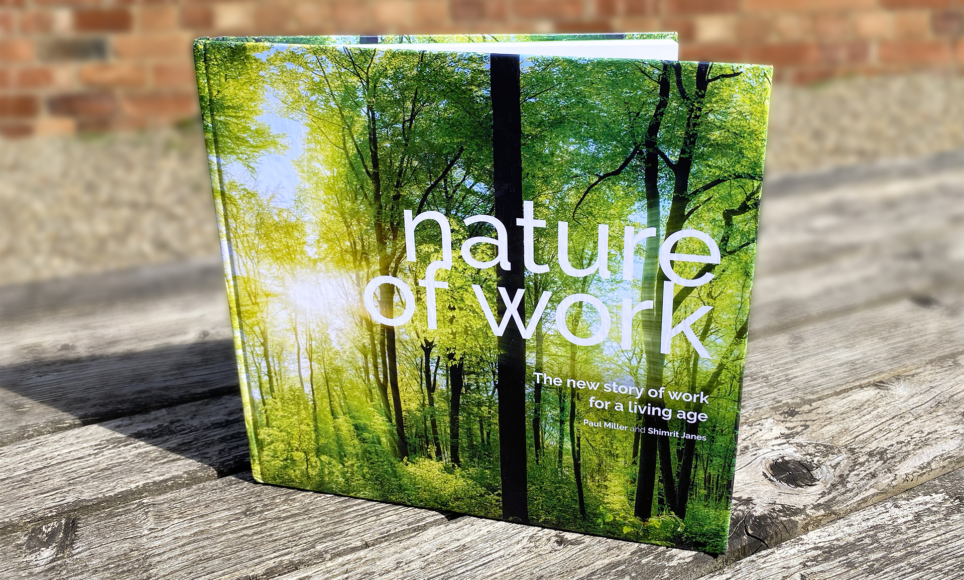 Nature of Work book cover