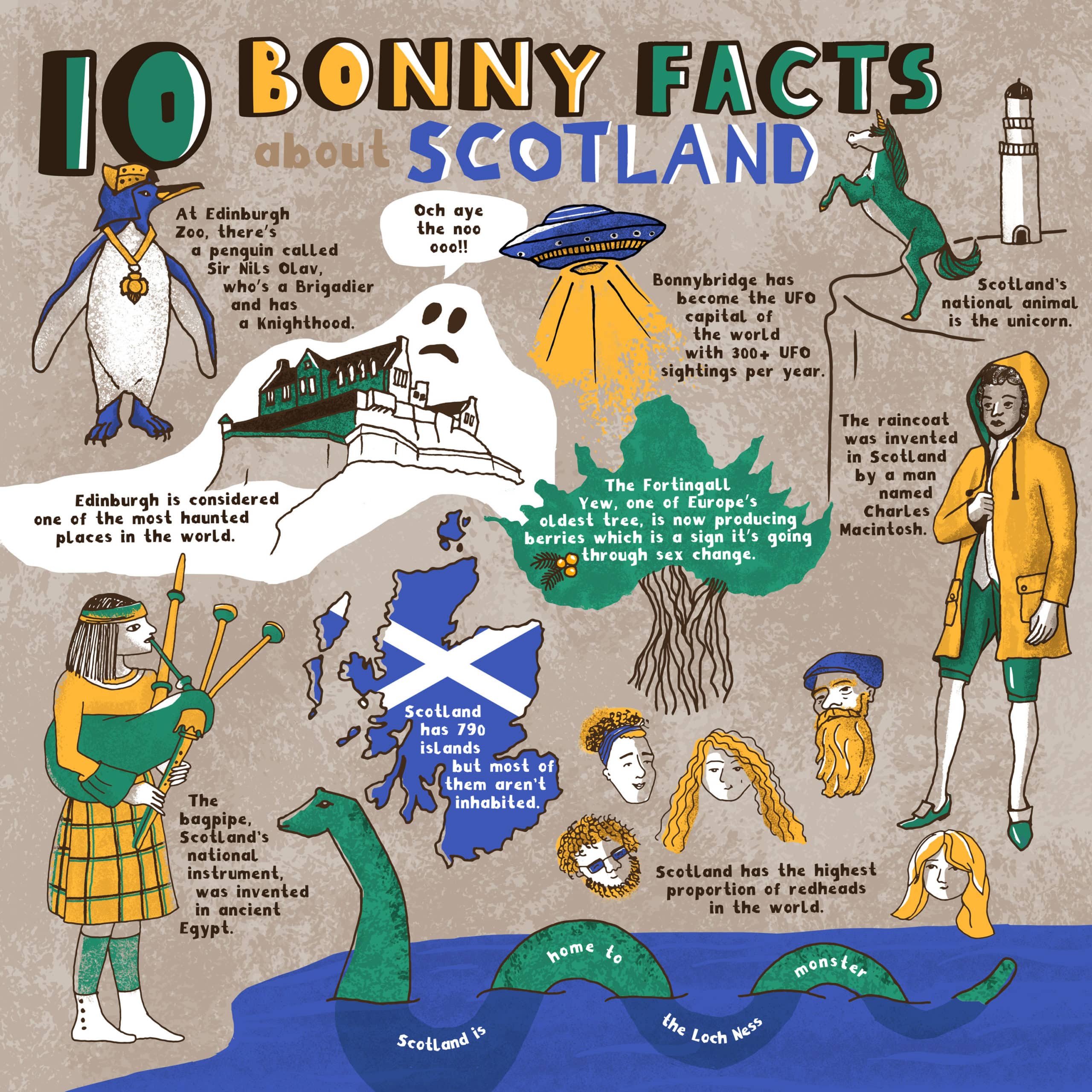 Scotland-Infographic-for-Toast-KatiLacey