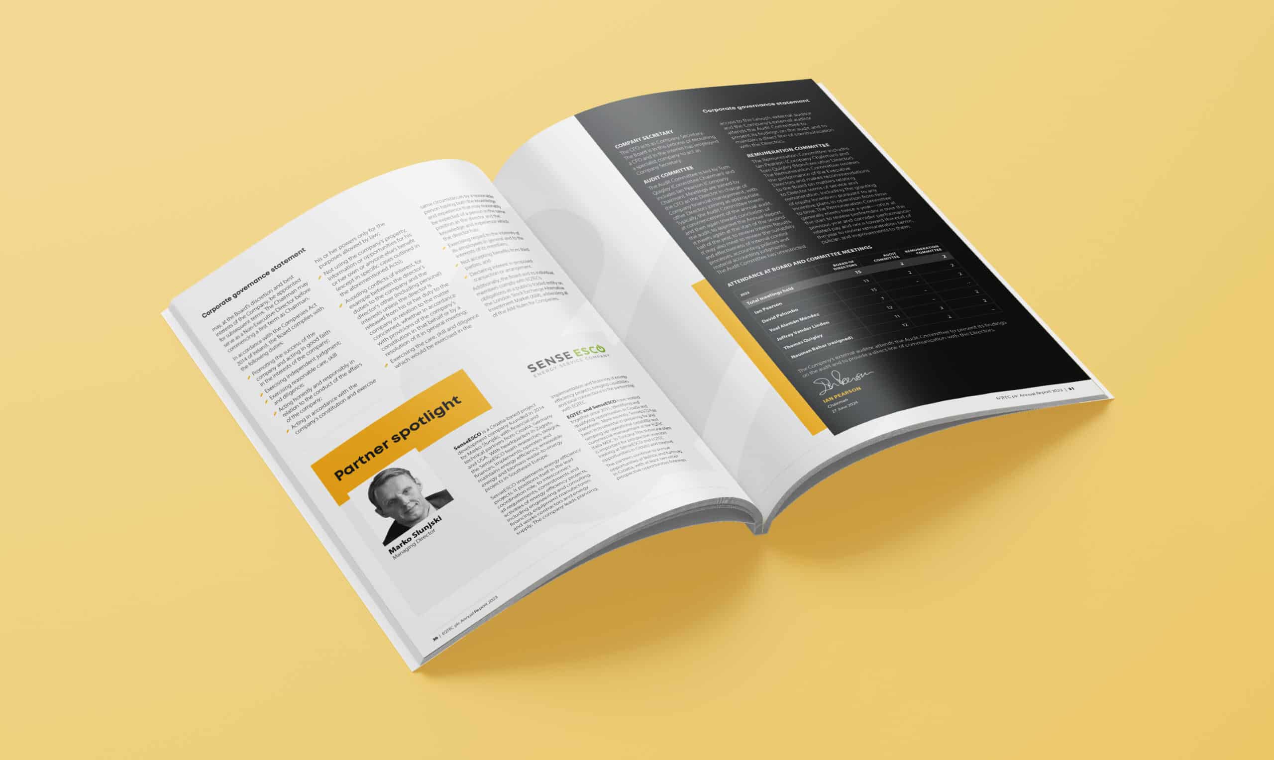 annual-report-design-example