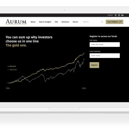 Hedge fund investment specialist website design example