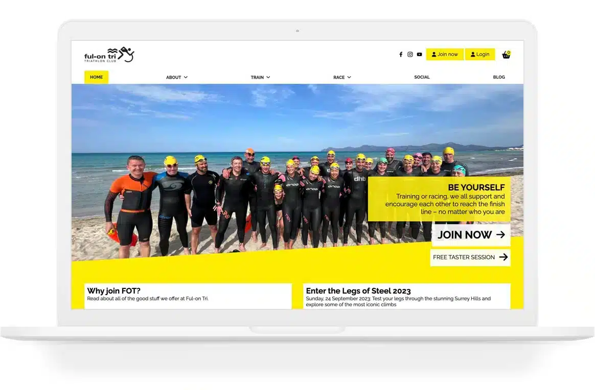 bespoke wordpress development example
