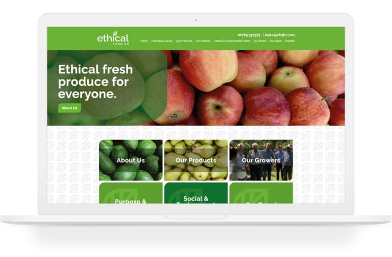 Example design of Website build for ethical food company