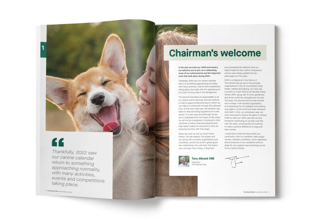 Annual Report Design example