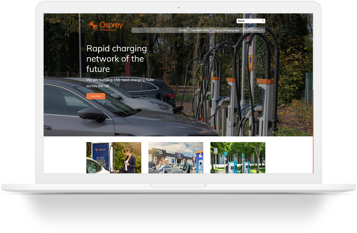 Osprey charging WordPress website