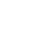 WordPress Web design